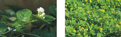 20120322112903826.jpg 20120322112903826.jpg